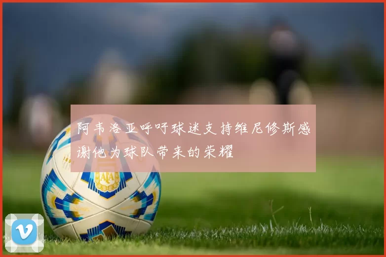 阿韦洛亚呼吁球迷支持维尼修斯感谢他为球队带来的荣耀
